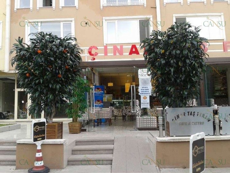 Yapay Ağaç, Yapay Meyve Ağacı, Yapay Yapraklı Ağaç, Yapay Fantezi Ağaç, Yapay Şimşir Ağaç, Yapay Bonzai