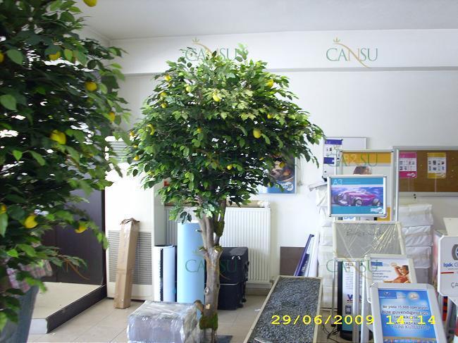 Yapay Ağaç, Yapay Meyve Ağacı, Yapay Yapraklı Ağaç, Yapay Fantezi Ağaç, Yapay Şimşir Ağaç, Yapay Bonzai